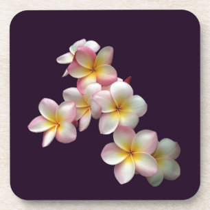 Plumeria blüht im Dunkeln lila Getränkeuntersetzer