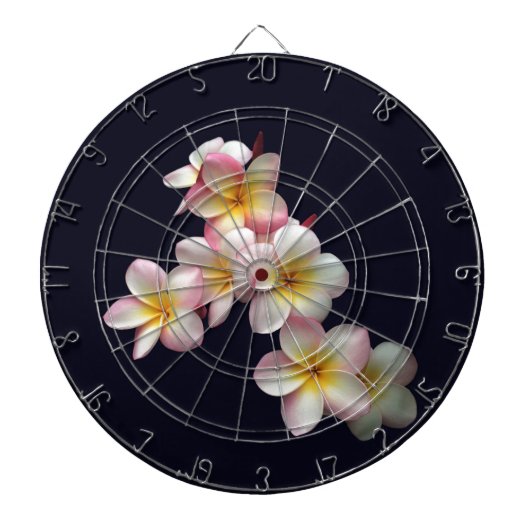 Plumeria blüht in dunkelblau dartscheibe (vorne)