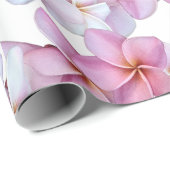 Plumeria blüht in Rosa Geschenkpapier (Rolleneckpunkt)