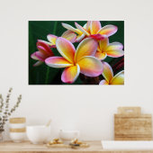 Plumeria Blume auf Leinwand! Poster (Küche)