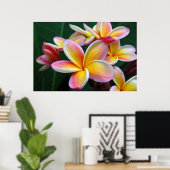 Plumeria Blume auf Leinwand! Poster (Heimbüro)