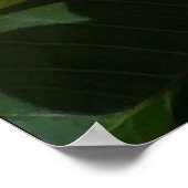 Plumeria-Blume drucken Poster (Ecke)