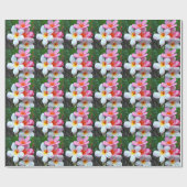 Plumeria Blume frangipani Geschenkpapier (Flach)