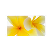 Plumeria Blume Hawaii Adressaufkleber (Vorne)