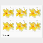 Plumeria Blume Hawaii Quadratischer Aufkleber (Blatt)