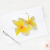 Plumeria Blume Hawaii Quadratischer Aufkleber (Umschlag)
