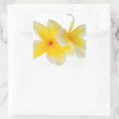 Plumeria Blume Hawaii Quadratischer Aufkleber (Tasche)