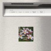 Plumeria-Blume Magnet (In Situ (Geschirrspüler))