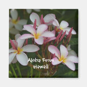 Plumeria-Blume Magnet (Vorne)