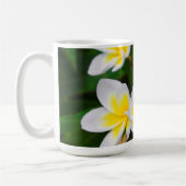 Plumeria Blume nah-up, Hawaii Kaffeetasse (Links)
