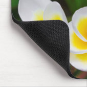 Plumeria Blume nah-up, Hawaii Mousepad (Ecke)