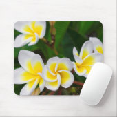 Plumeria Blume nah-up, Hawaii Mousepad (Mit Mouse)