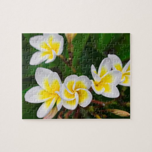 Plumeria Blume nah-up, Hawaii Puzzle (Horizontal)