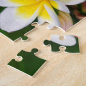 Plumeria Blume nah-up, Hawaii Puzzle (Seite)