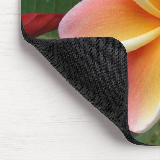 Plumeria-Blume Oahu Hawaii Mousepad (Ecke)