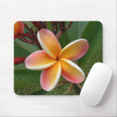 Plumeria-Blume Oahu Hawaii Mousepad (Mit Mouse)