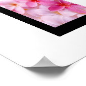 Plumeria Blume Poster (Ecke)