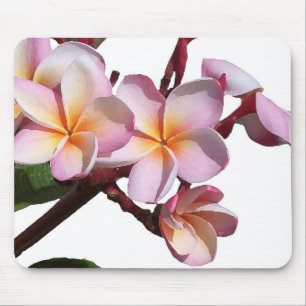 Plumeria-Blumen Mousepad
