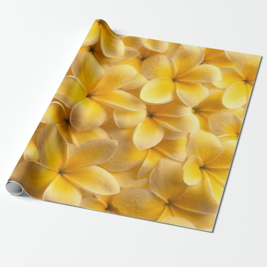 Plumeria Blumen Yellow Geschenkpapier (Ungerollt)