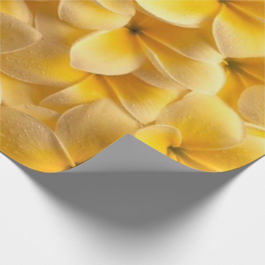 Plumeria Blumen Yellow Geschenkpapier (Ecke)