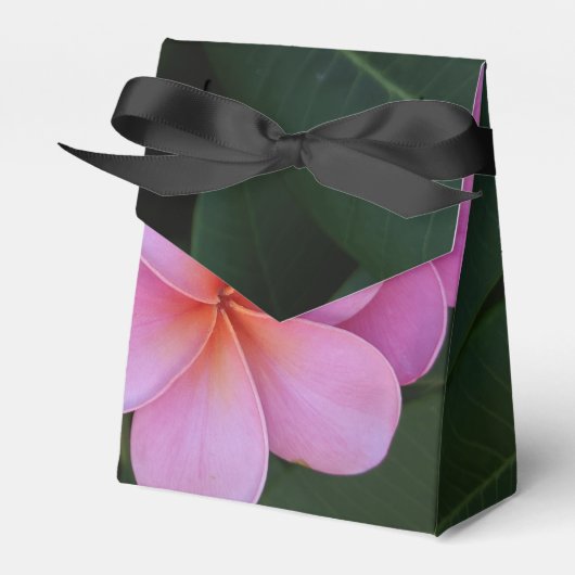 Plumeria-Blumenfoto Geschenkschachtel (Vorderseite)