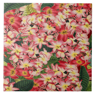 Plumeria-Blumengarten Tropische Blumenfliese Fliese