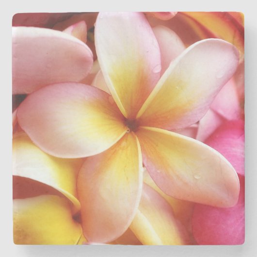 Plumeria-Blumenhawaiischer Frangipani mit Blumen Steinuntersetzer (Vorderseite)