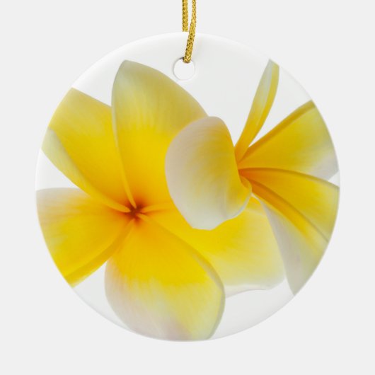 Plumeria-Blumenhawaiischer weißer gelber Keramik Ornament (Vorne)