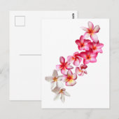 Plumeria-Blüten-Collage Postkarte (Vorne/Hinten)