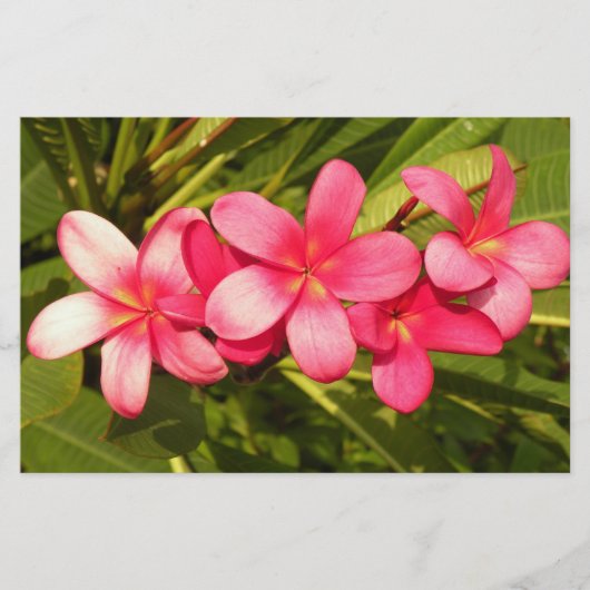 Plumeria Briefpapier (Vorderseite)