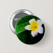 Plumeria Button (Vorne & Hinten)