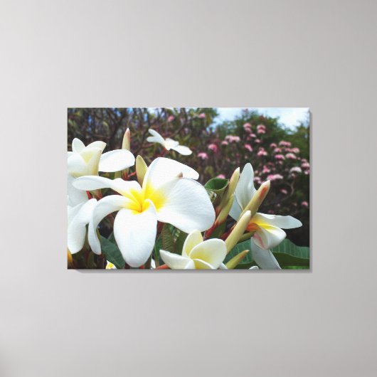 Plumeria Canvas Print 1 Leinwanddruck (Vorderseite)