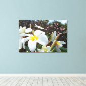 Plumeria Canvas Print 1 Leinwanddruck (Insitu (Holzboden))