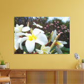 Plumeria Canvas Print 1 Leinwanddruck (Insitu (Wohnzimmer))