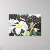 Plumeria Canvas Print 1 Leinwanddruck (Vorderseite)