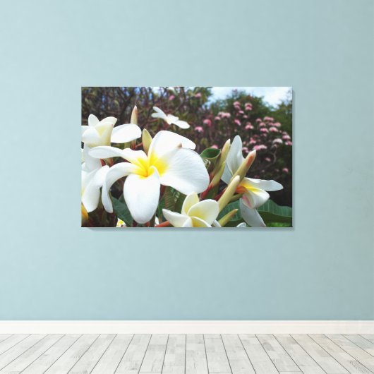 Plumeria Canvas Print 1 Leinwanddruck (Insitu (Holzboden))