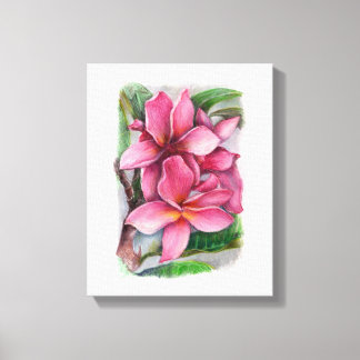Plumeria Canvas Print Leinwanddruck