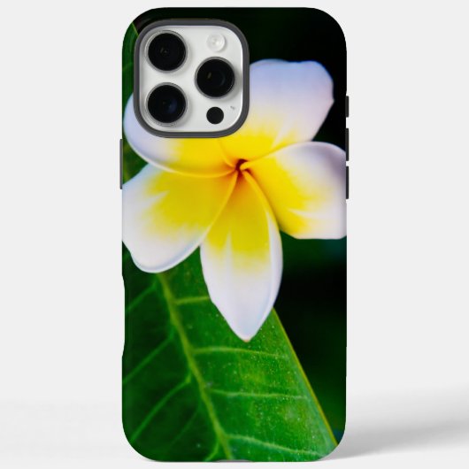 Plumeria Case-Mate iPhone Hülle (Rückseite)