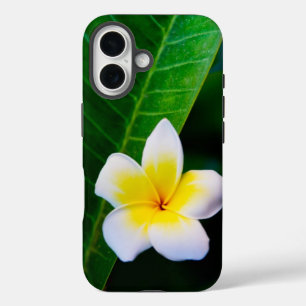 Plumeria iPhone 16 Hülle