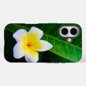 Plumeria Case-Mate iPhone Hülle (Rückseite (Horizontal))