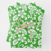 PLUMERIA (CITRUS GREEN) - PAPIERSCHUHE GESCHENKPAPIER SET (Beispiel)