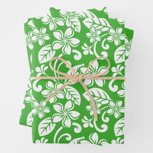 PLUMERIA (CITRUS GREEN) - PAPIERSCHUHE GESCHENKPAPIER SET (Beispiel)