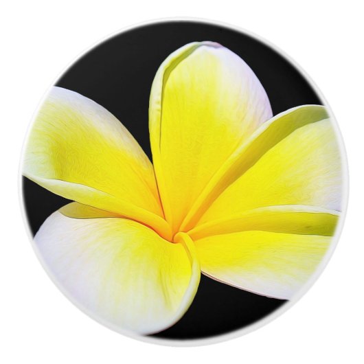 Plumeria Drawer Keramikknauf (Vorderseite)