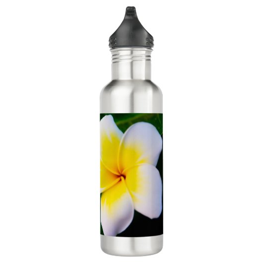 Plumeria Edelstahlflasche (Rechts)