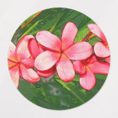 Plumeria Etiketten (Design 1)