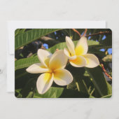 Plumeria Feiertagskarte (Vorderseite)