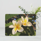 Plumeria Feiertagskarte (Stehend Vorderseite)