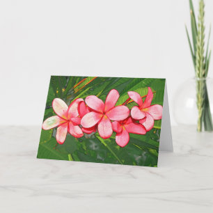 Plumeria Feiertagskarte