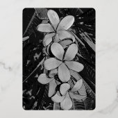Plumeria Folieneinladung (Rückseite)