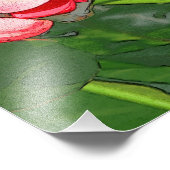 Plumeria Fotodruck (Ecke)